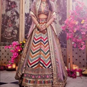 Beautiful Indian Bollywood style flamingo Lehenga.